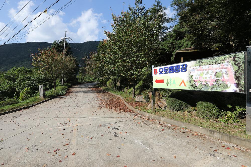 천동오토캠핑장