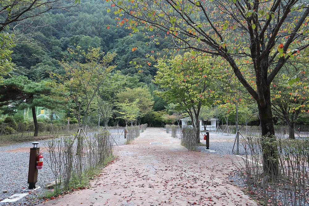 천동오토캠핑장