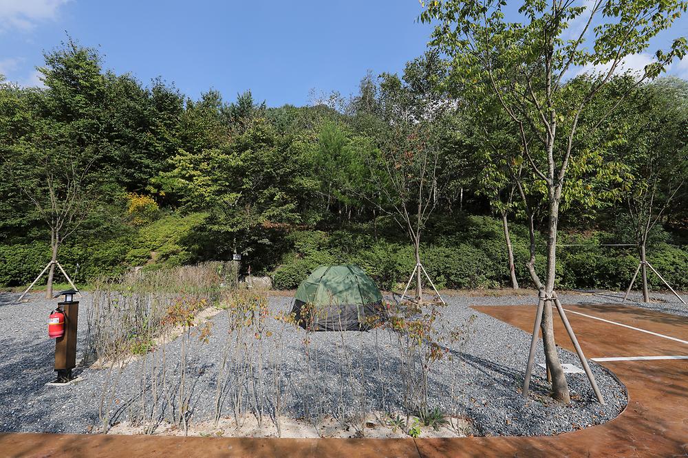 천동오토캠핑장