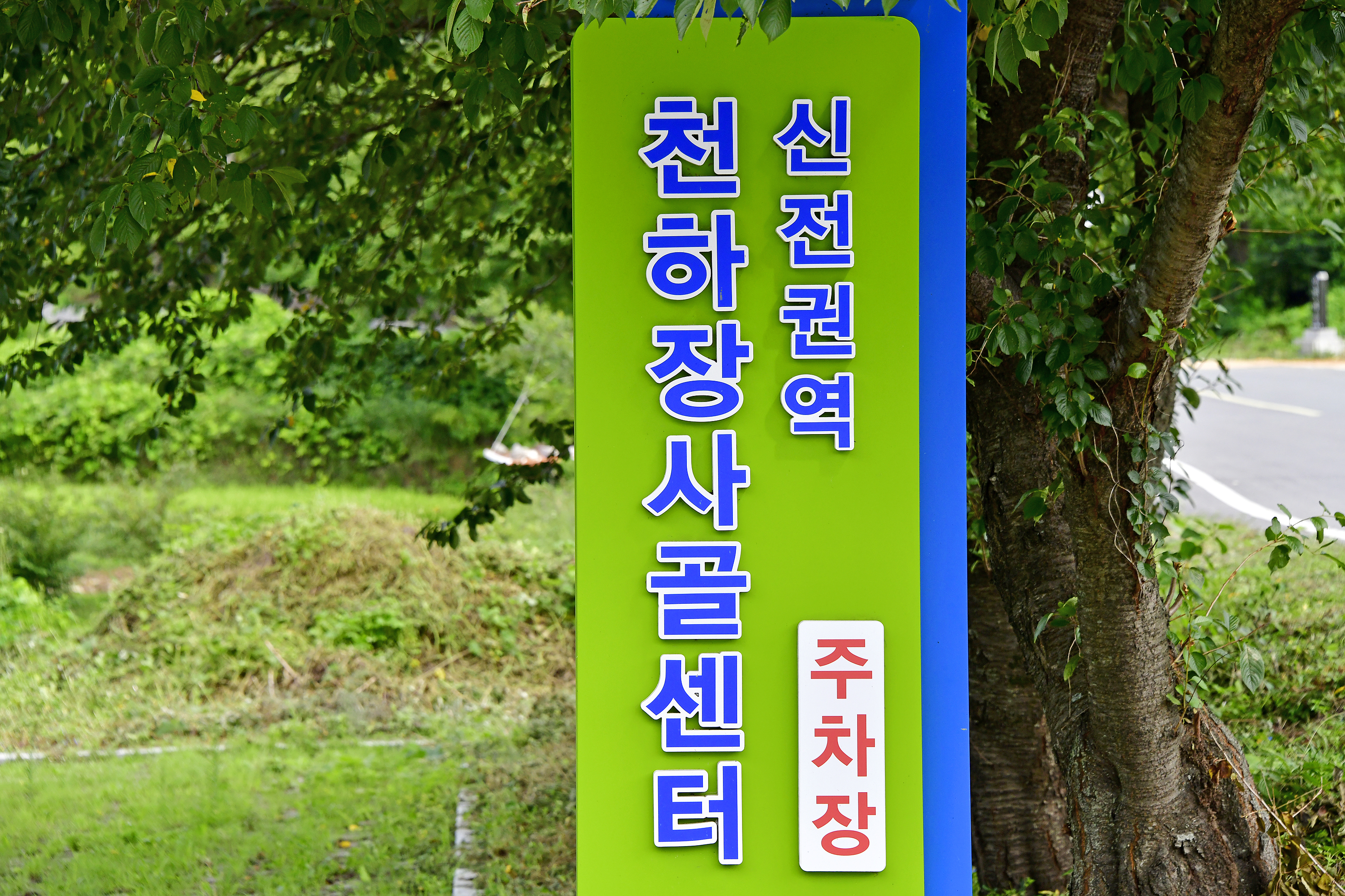 천하장사골야영장