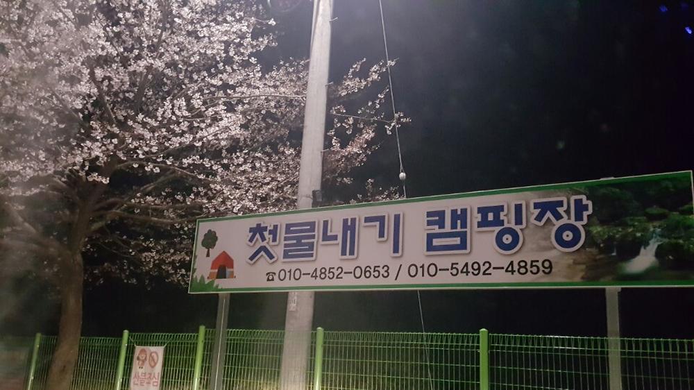 첫물내기 캠핑장