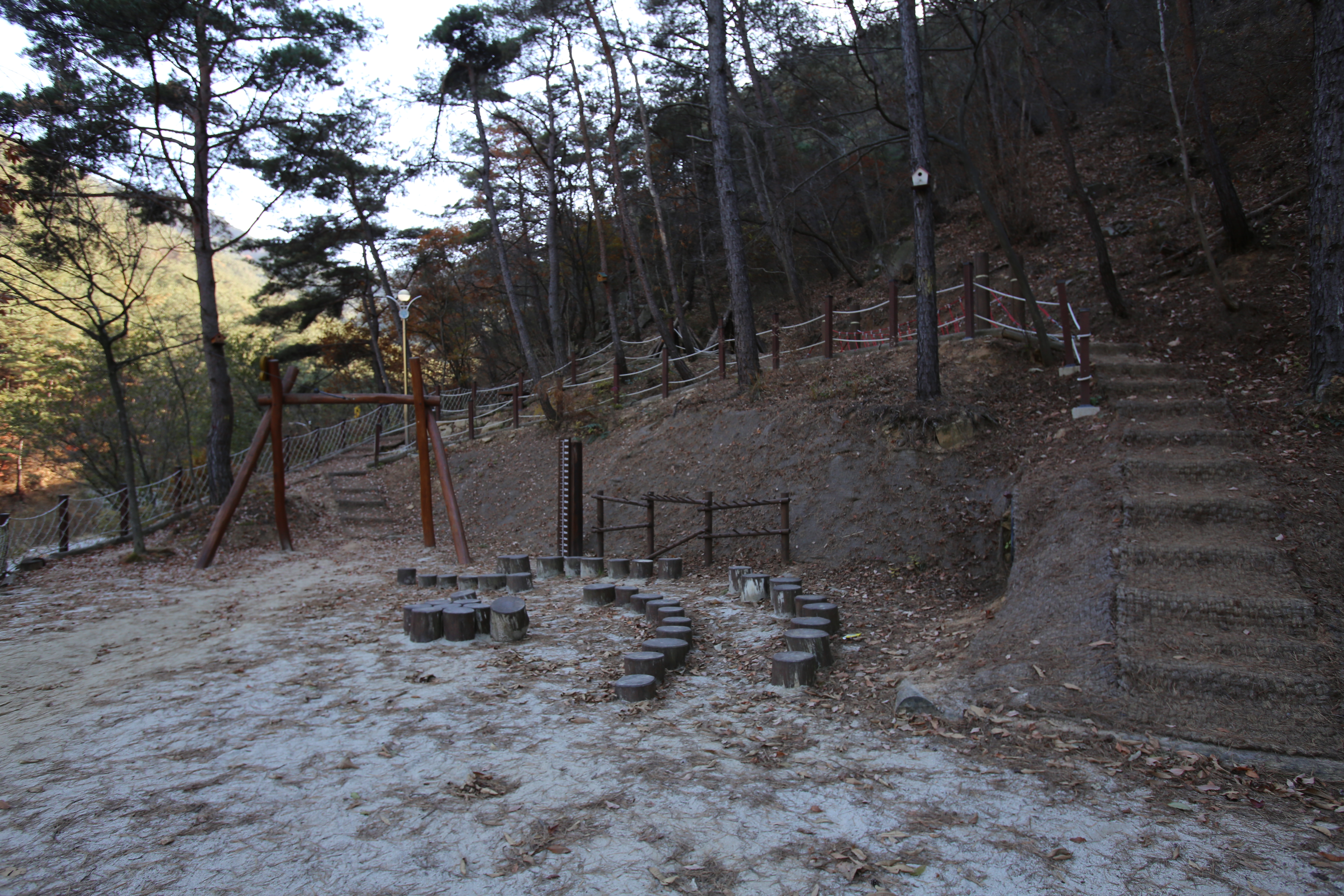 청계동 솔바람야영장