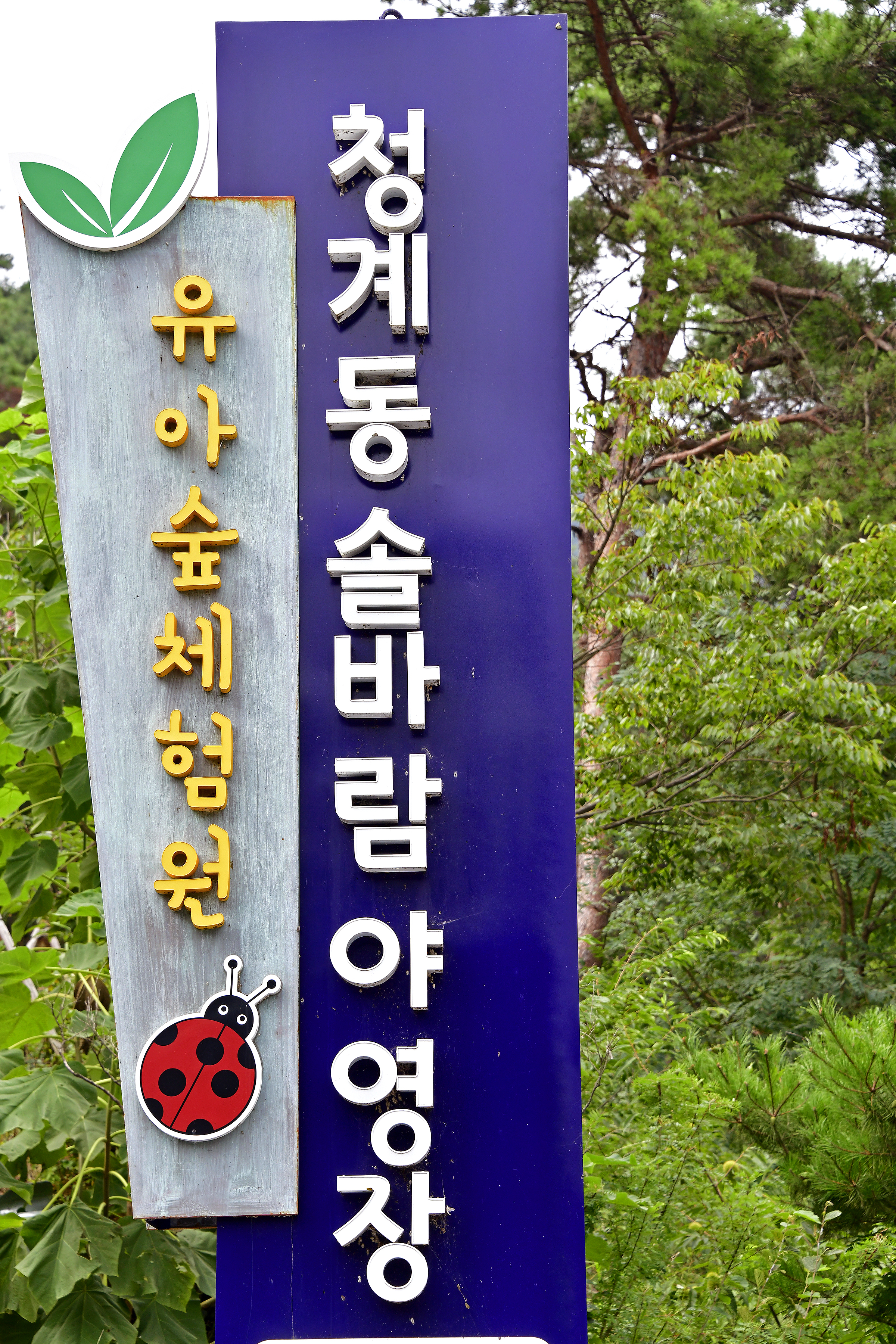 청계동 솔바람야영장