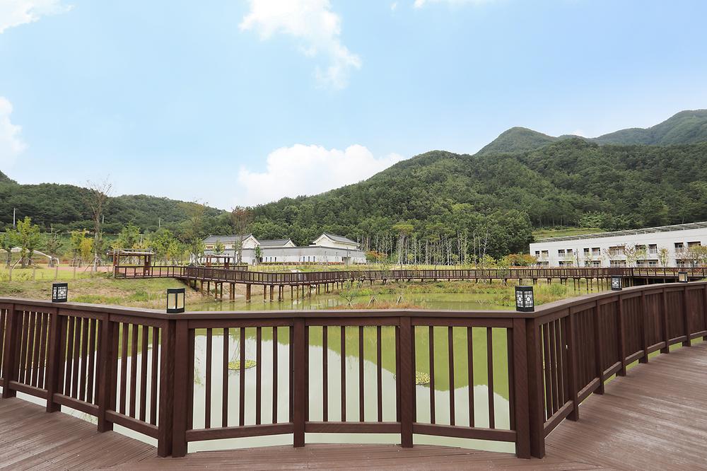 청도신화랑 풍류마을 오토캠핑장