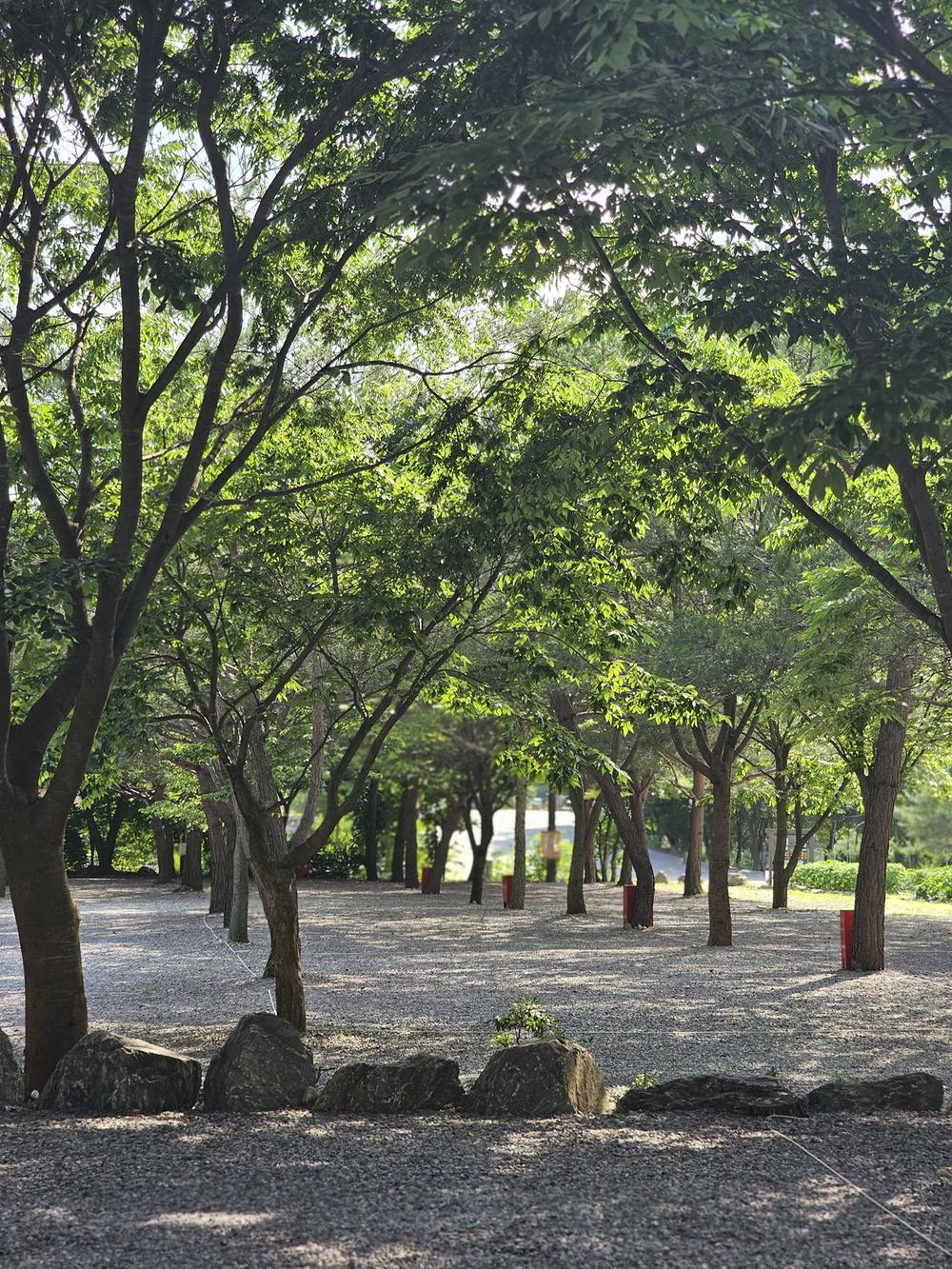 청산 캠프