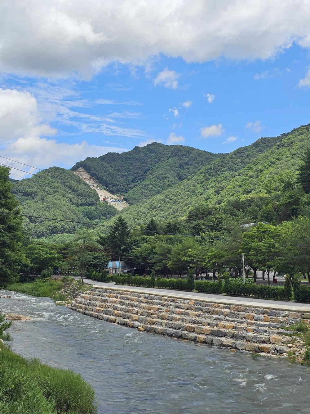 청산 캠프
