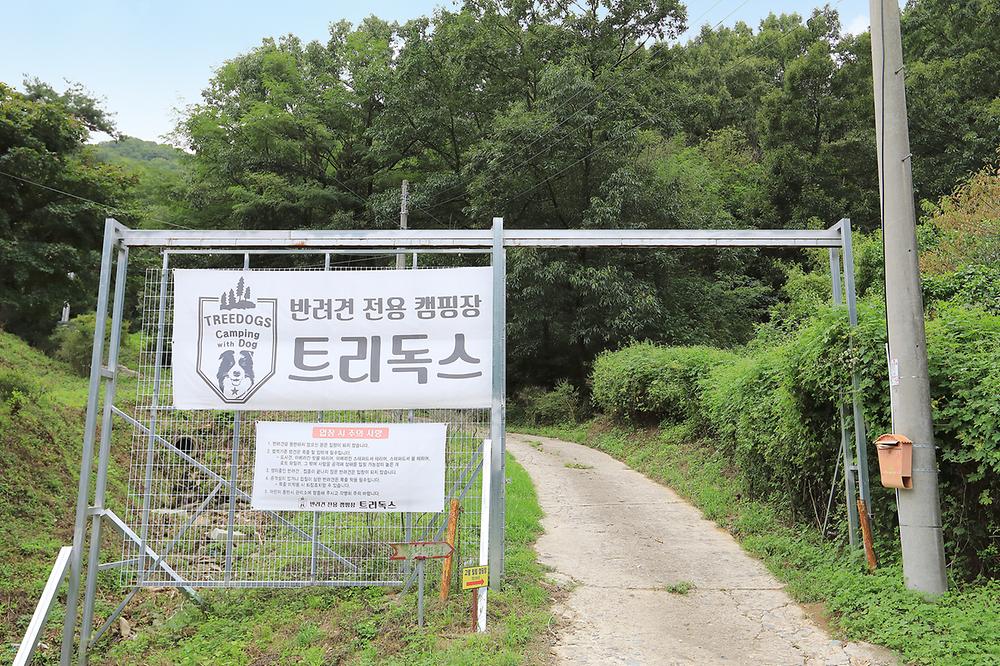 트리독스 애견전용캠핑장