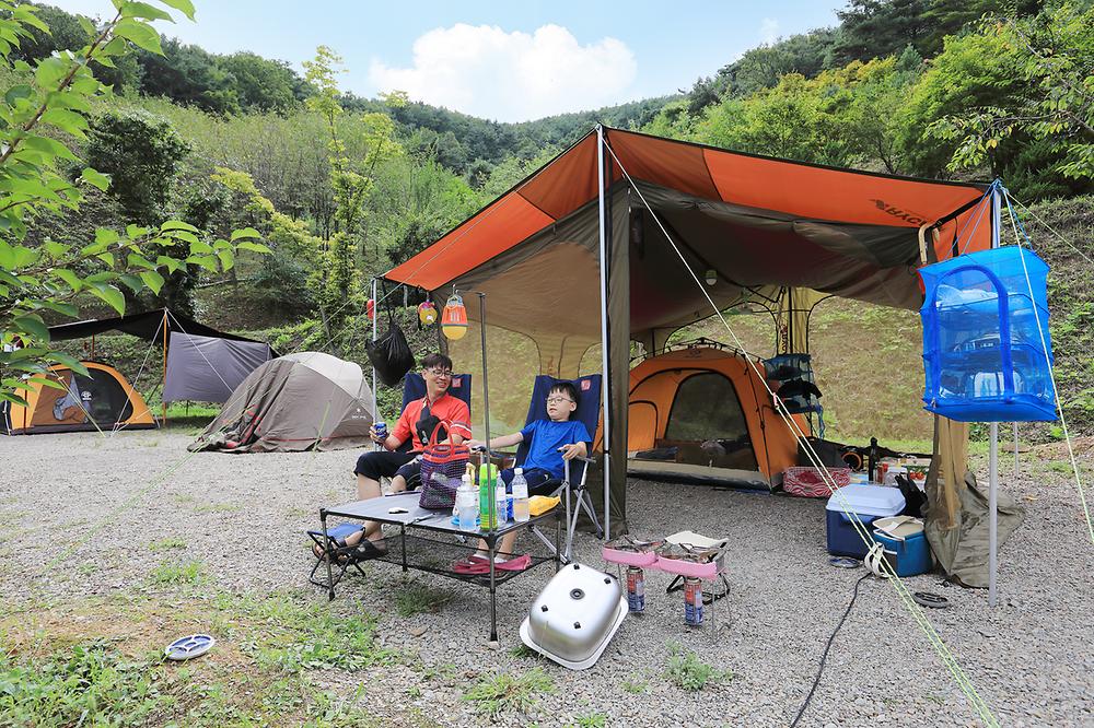 트리독스 애견전용캠핑장