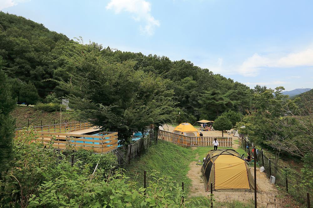 트리독스 애견전용캠핑장