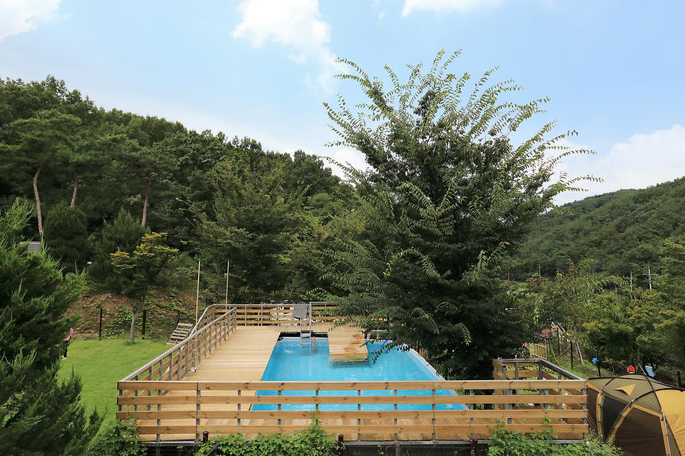 트리독스 애견전용캠핑장