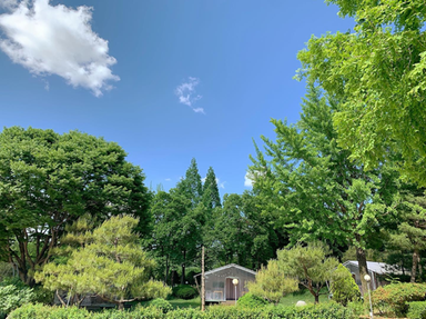 캠핑장소개 이미지