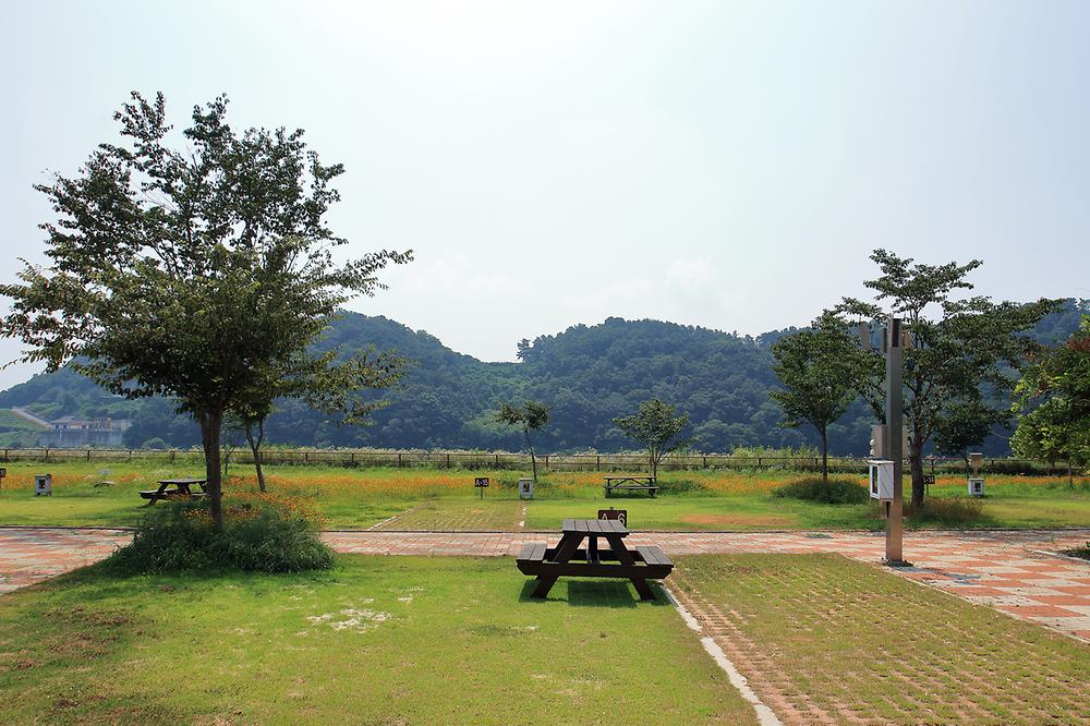 청양 동강리 오토캠핑장