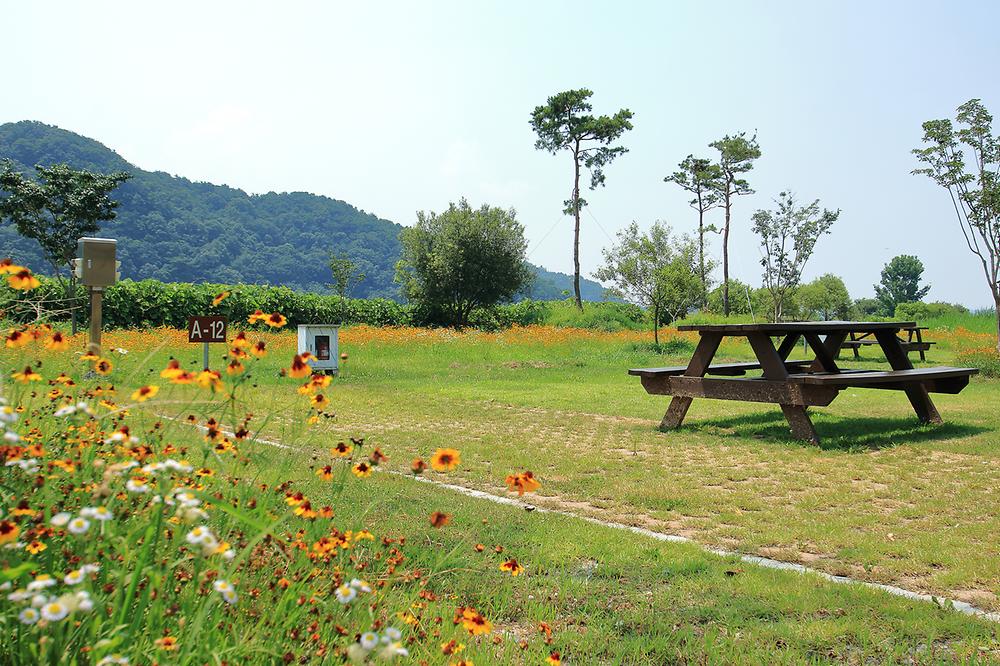 청양 동강리 오토캠핑장