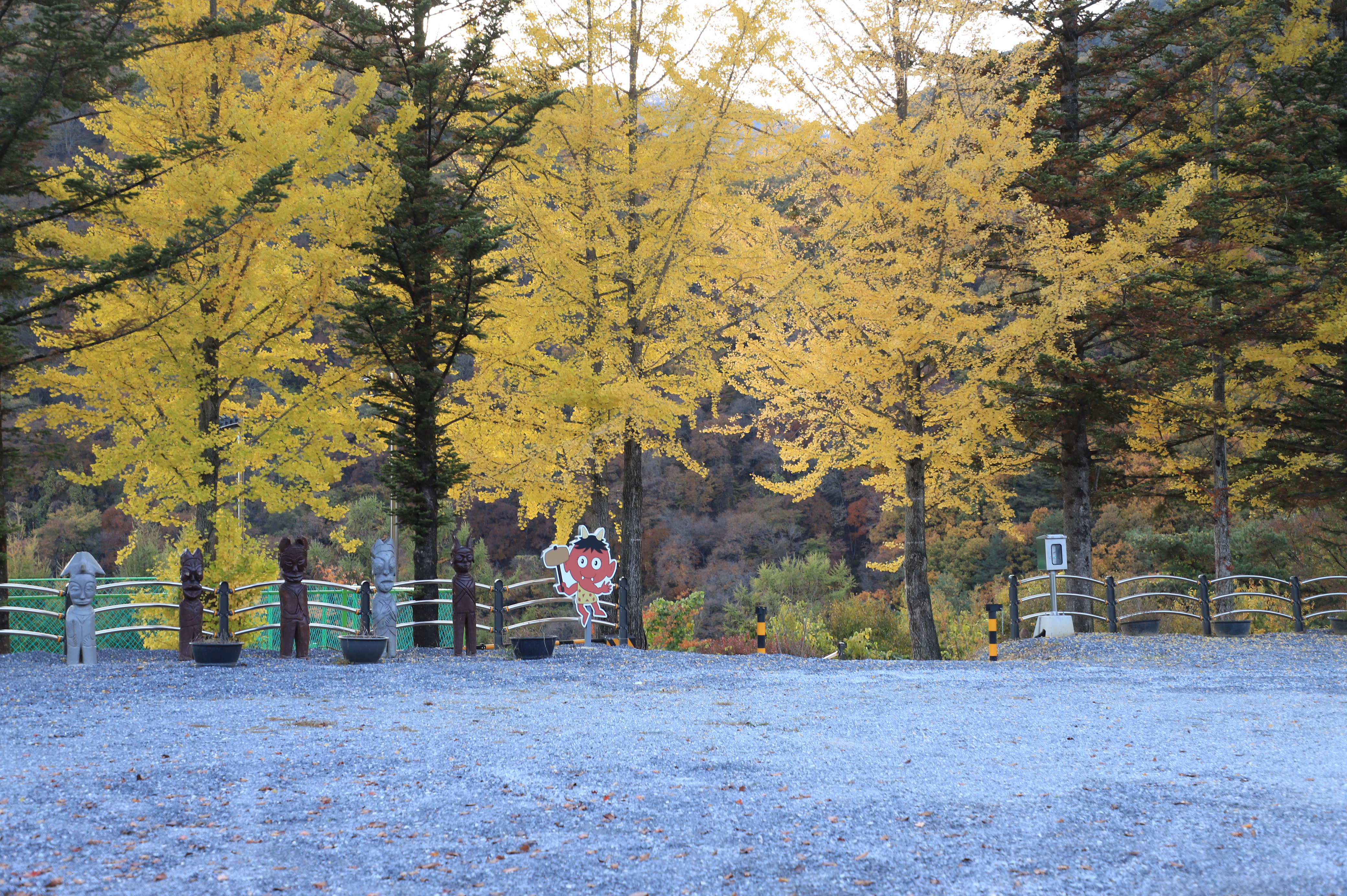 청옥산깨비마을 야영장