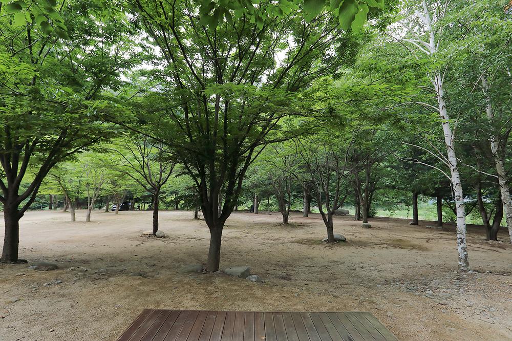 청옥야영장