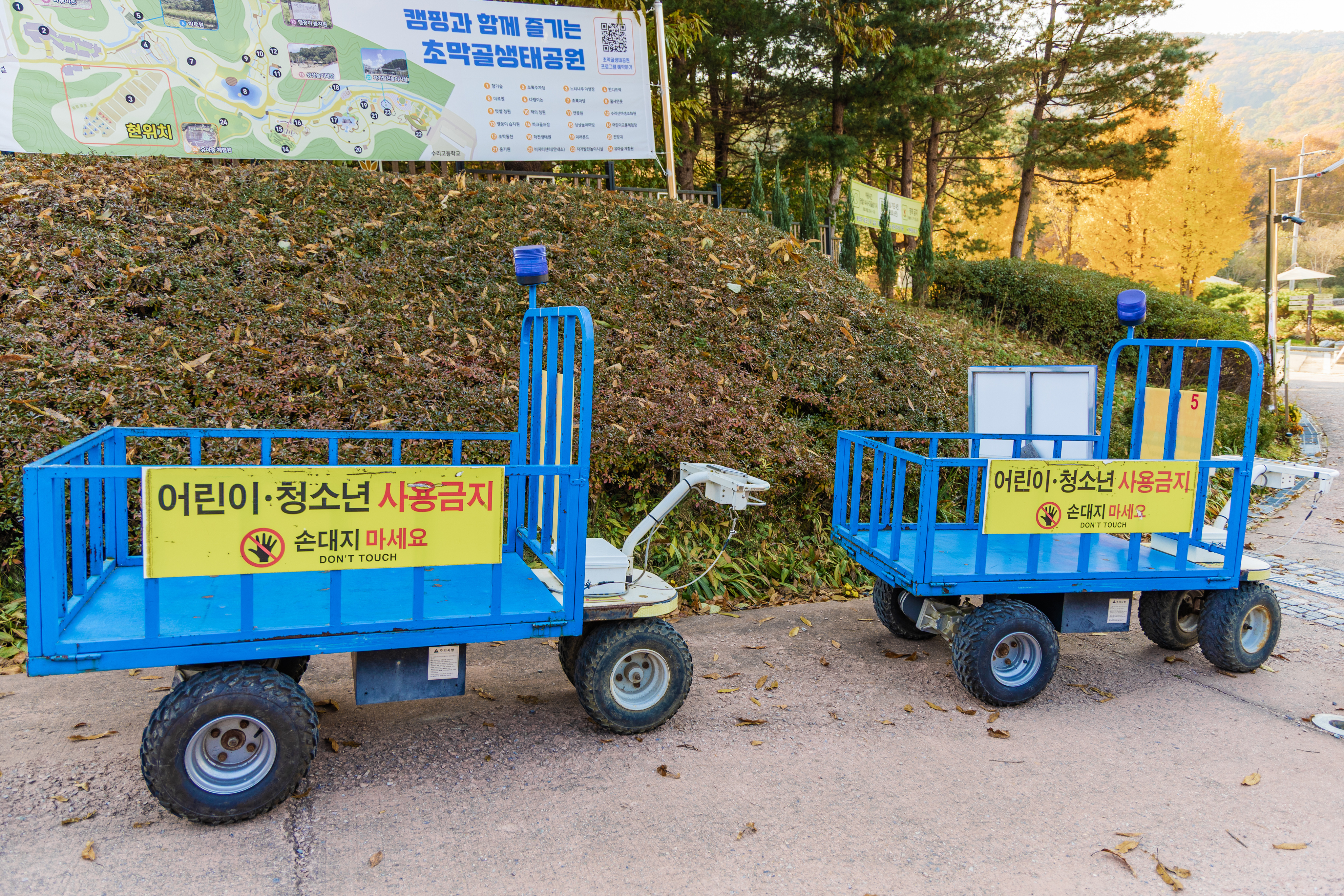 초막골생태공원 느티나무야영장