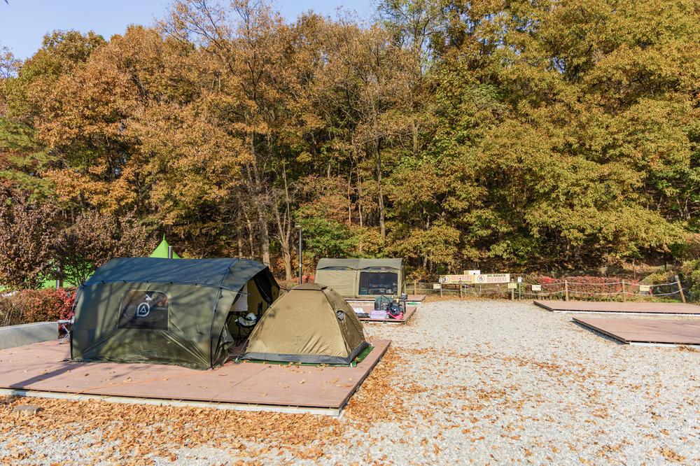 초막골생태공원 느티나무야영장