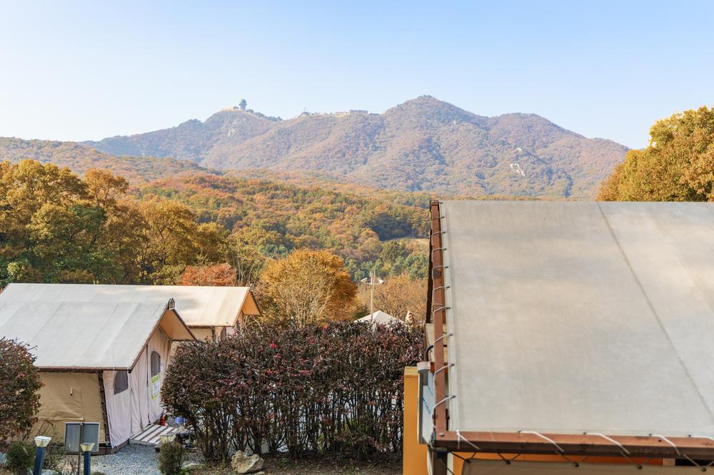 초막골생태공원 느티나무야영장