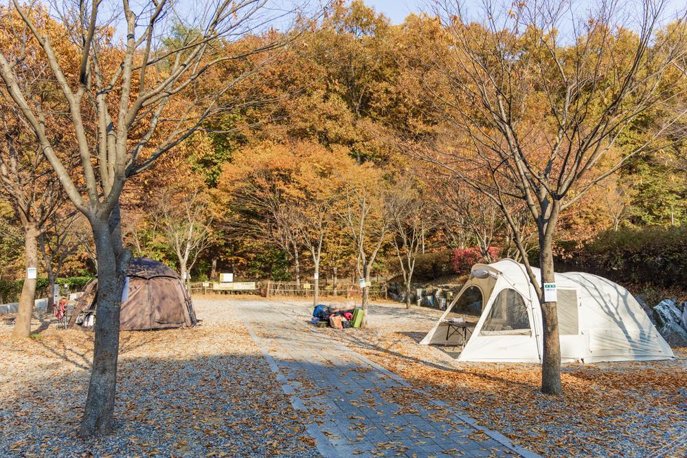 초막골생태공원 느티나무야영장