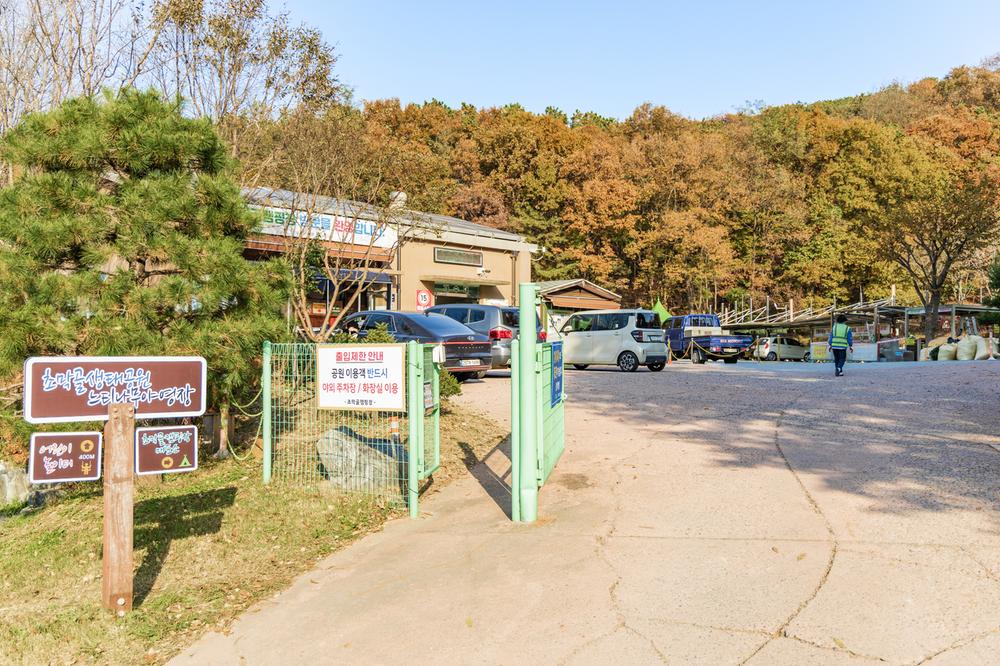 초막골생태공원 느티나무야영장