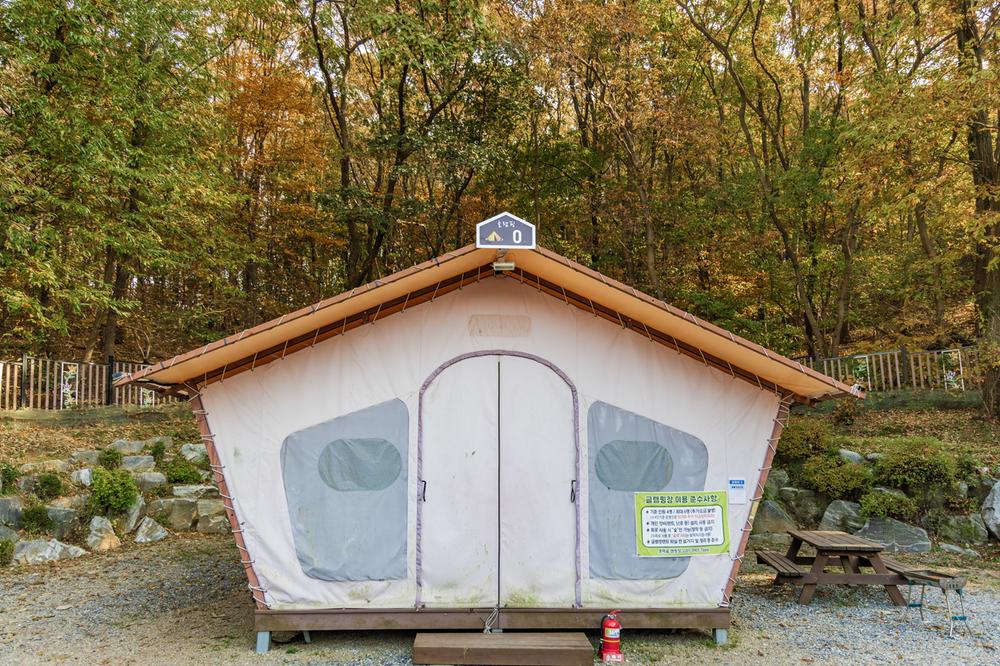 초막골생태공원 느티나무야영장