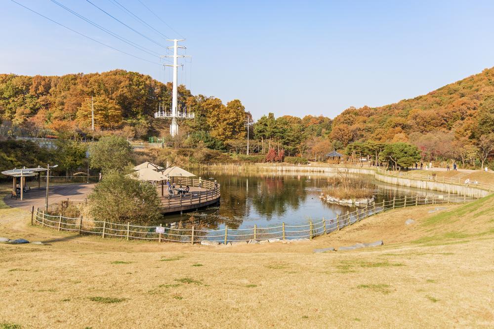 초막골생태공원 느티나무야영장
