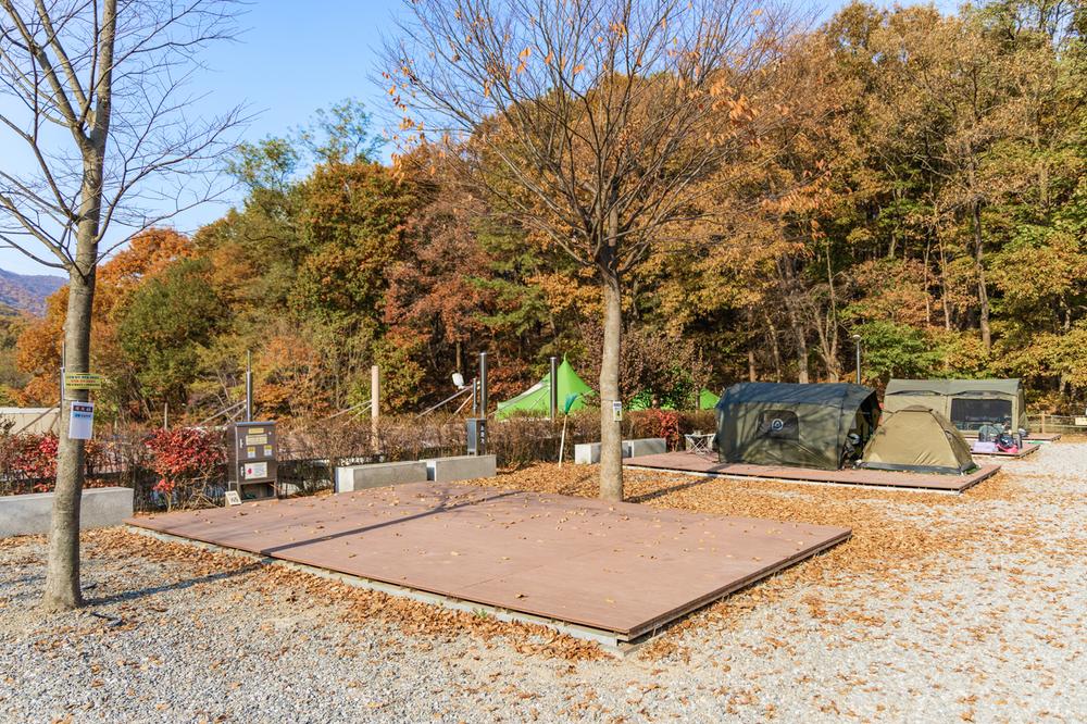 초막골생태공원 느티나무야영장