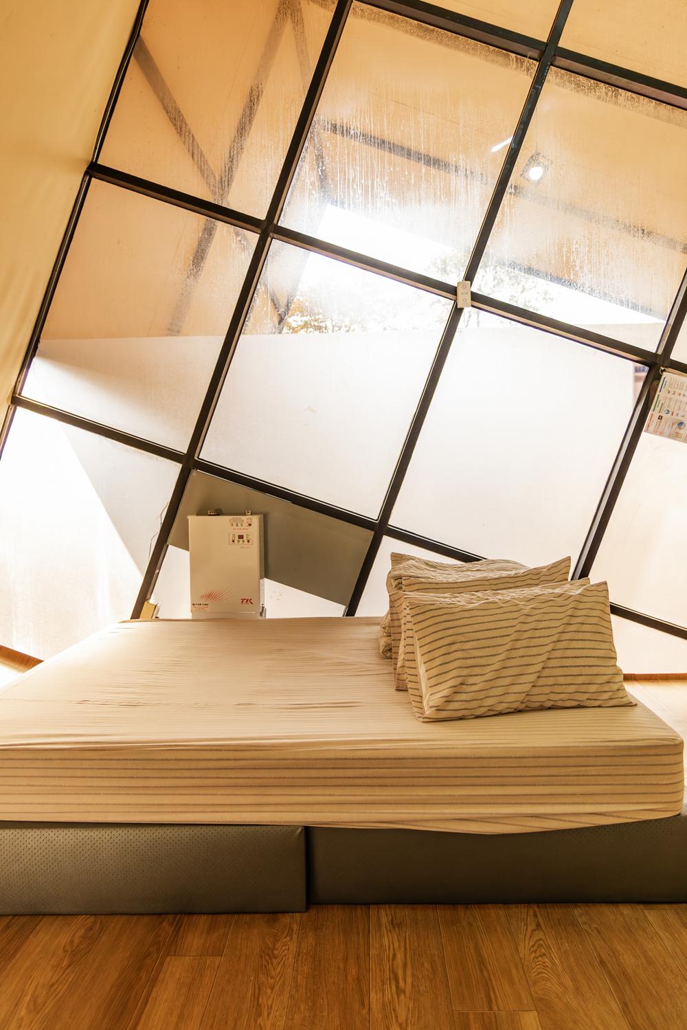 초막골생태공원 느티나무야영장