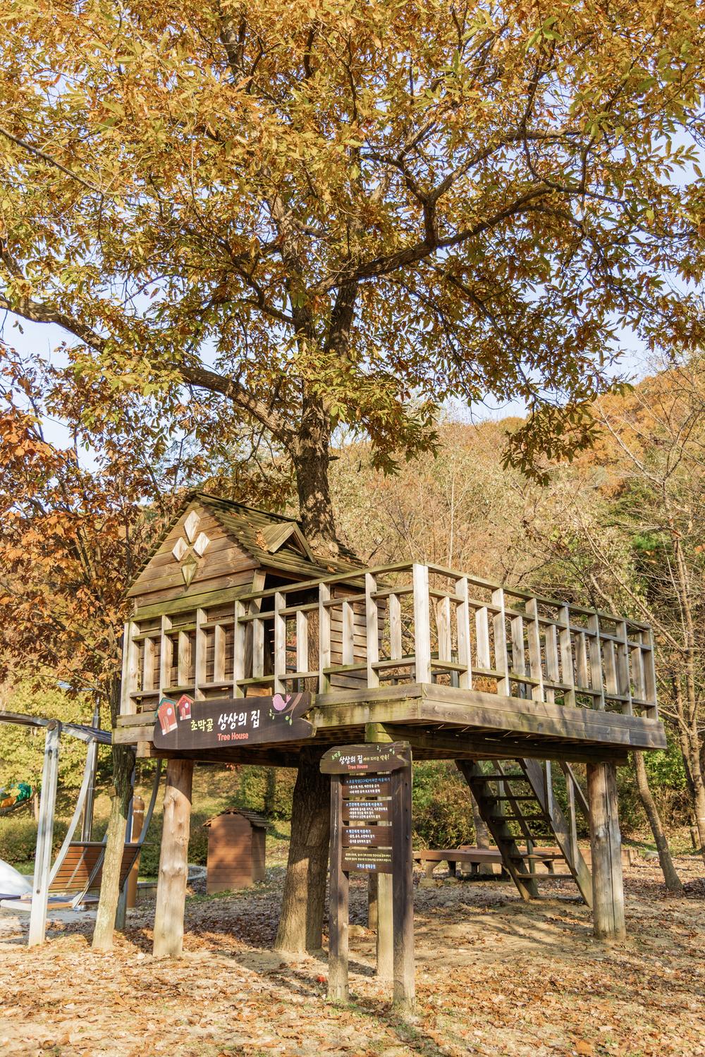 초막골생태공원 느티나무야영장