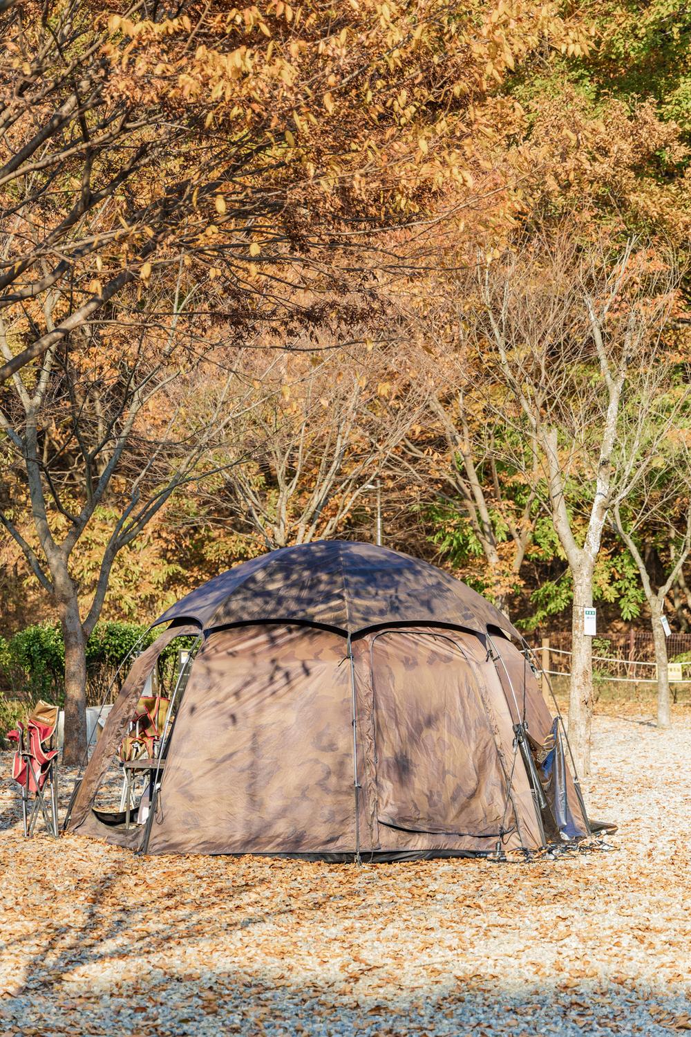 초막골생태공원 느티나무야영장