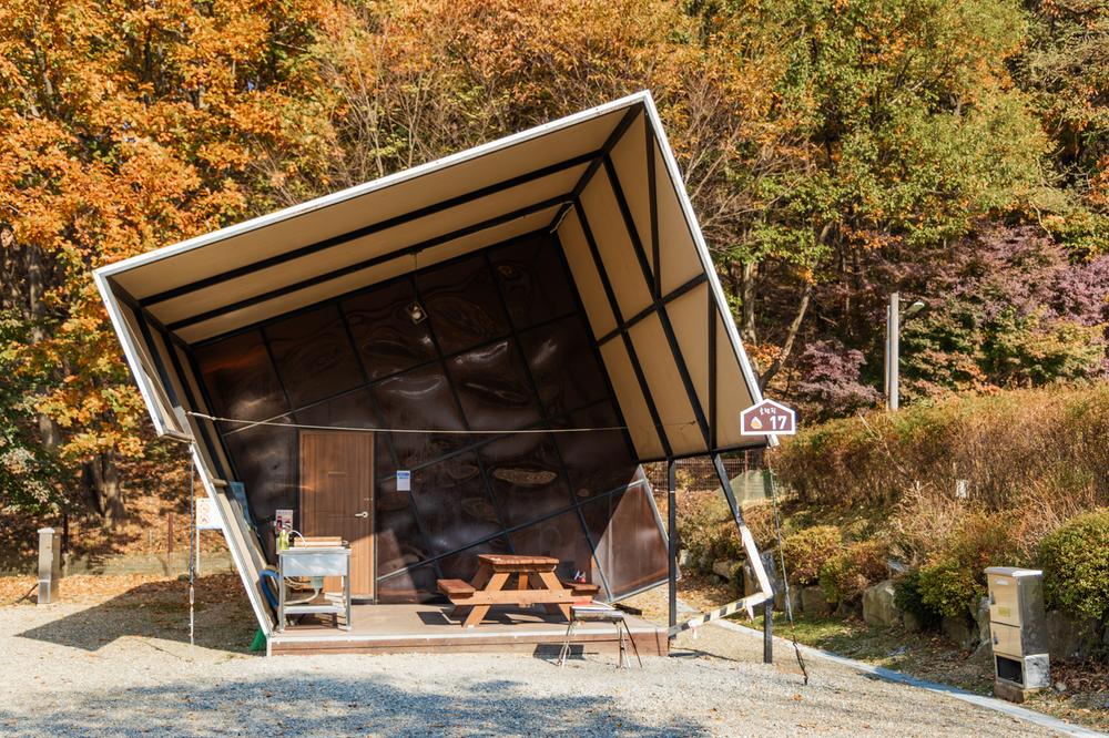 초막골생태공원 느티나무야영장