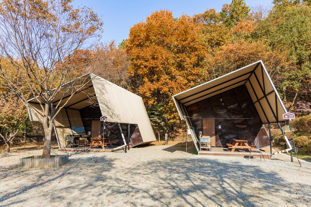 초막골생태공원 느티나무야영장