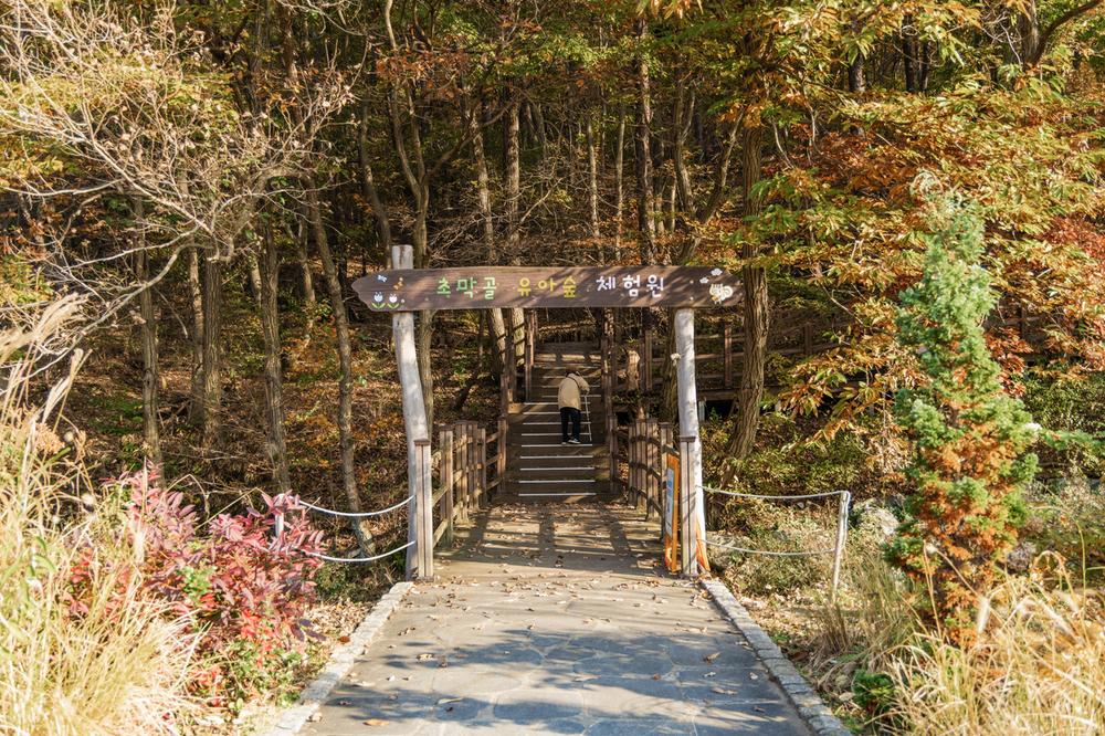 초막골생태공원 느티나무야영장