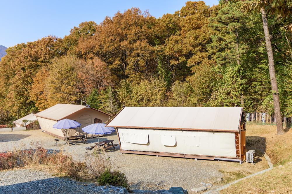 초막골생태공원 느티나무야영장