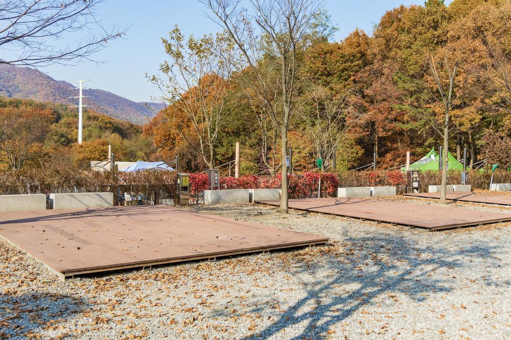 초막골생태공원 느티나무야영장