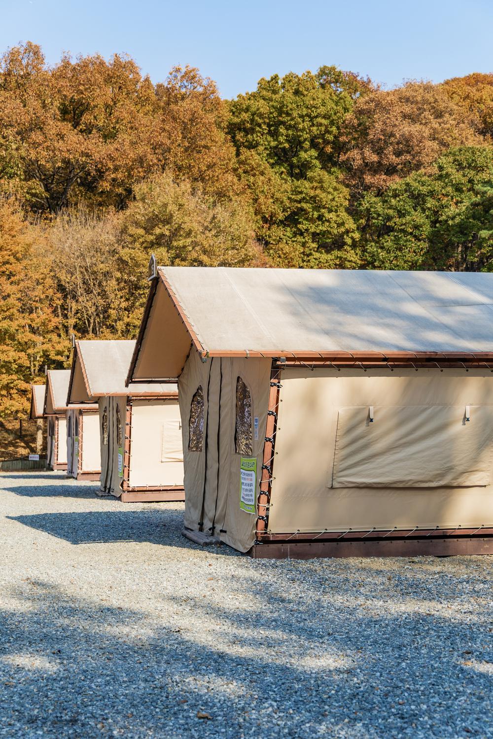 초막골생태공원 느티나무야영장