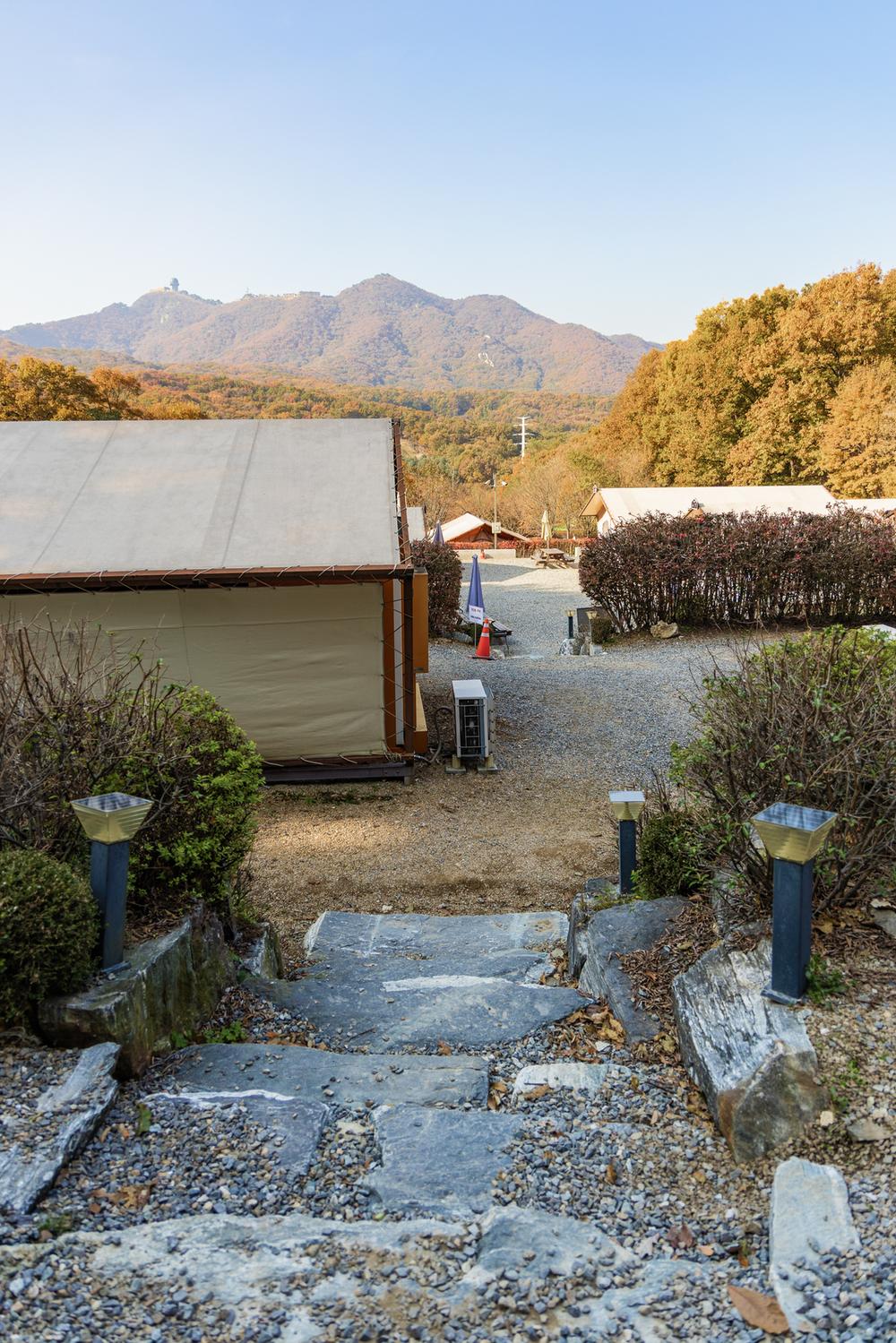 초막골생태공원 느티나무야영장