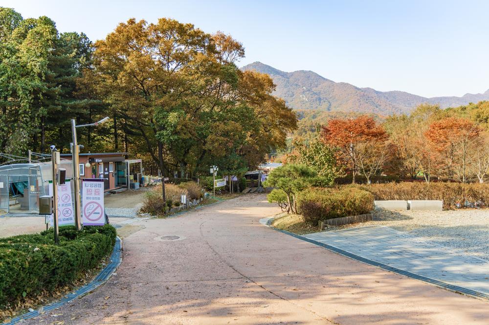 초막골생태공원 느티나무야영장