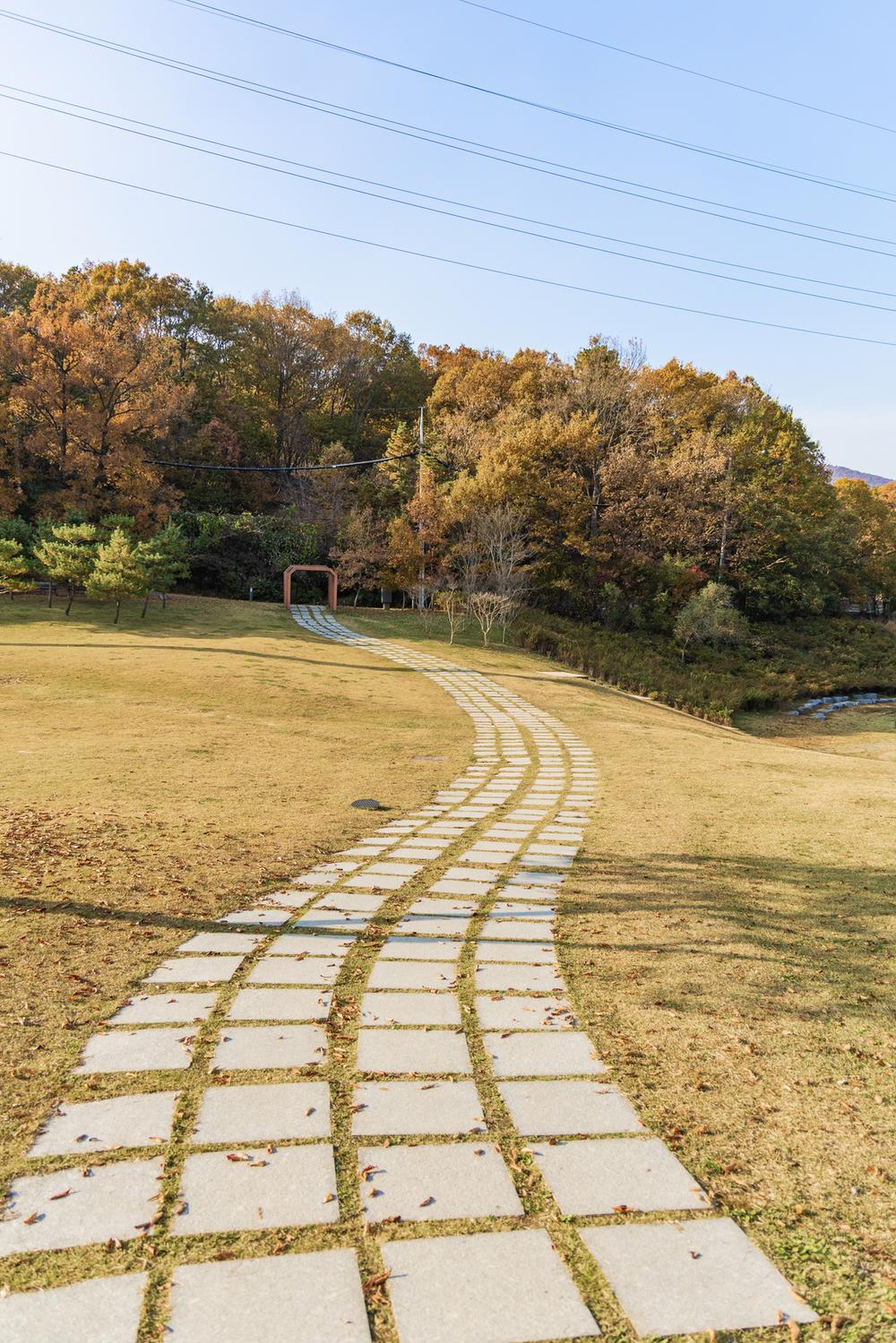 초막골생태공원 느티나무야영장
