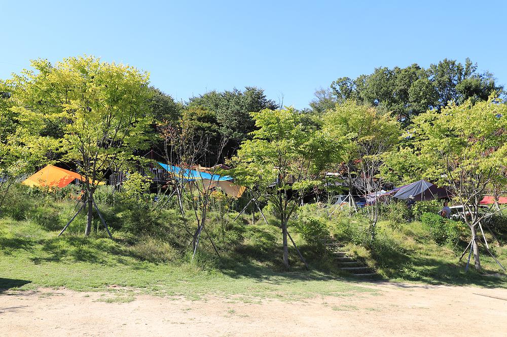초안산캠핑장