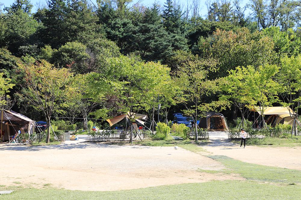 초안산캠핑장