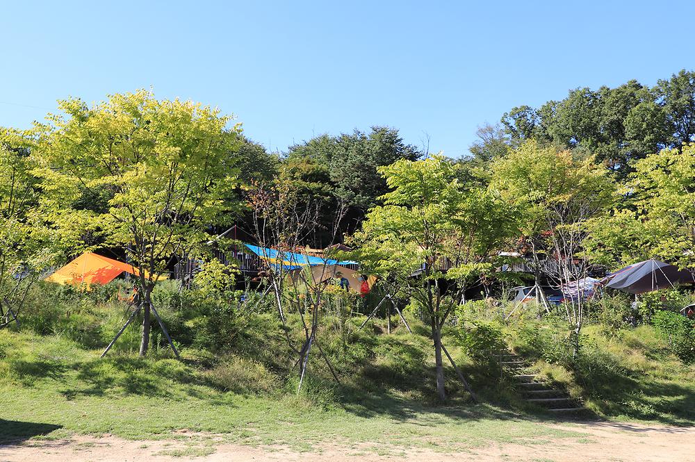 초안산캠핑장