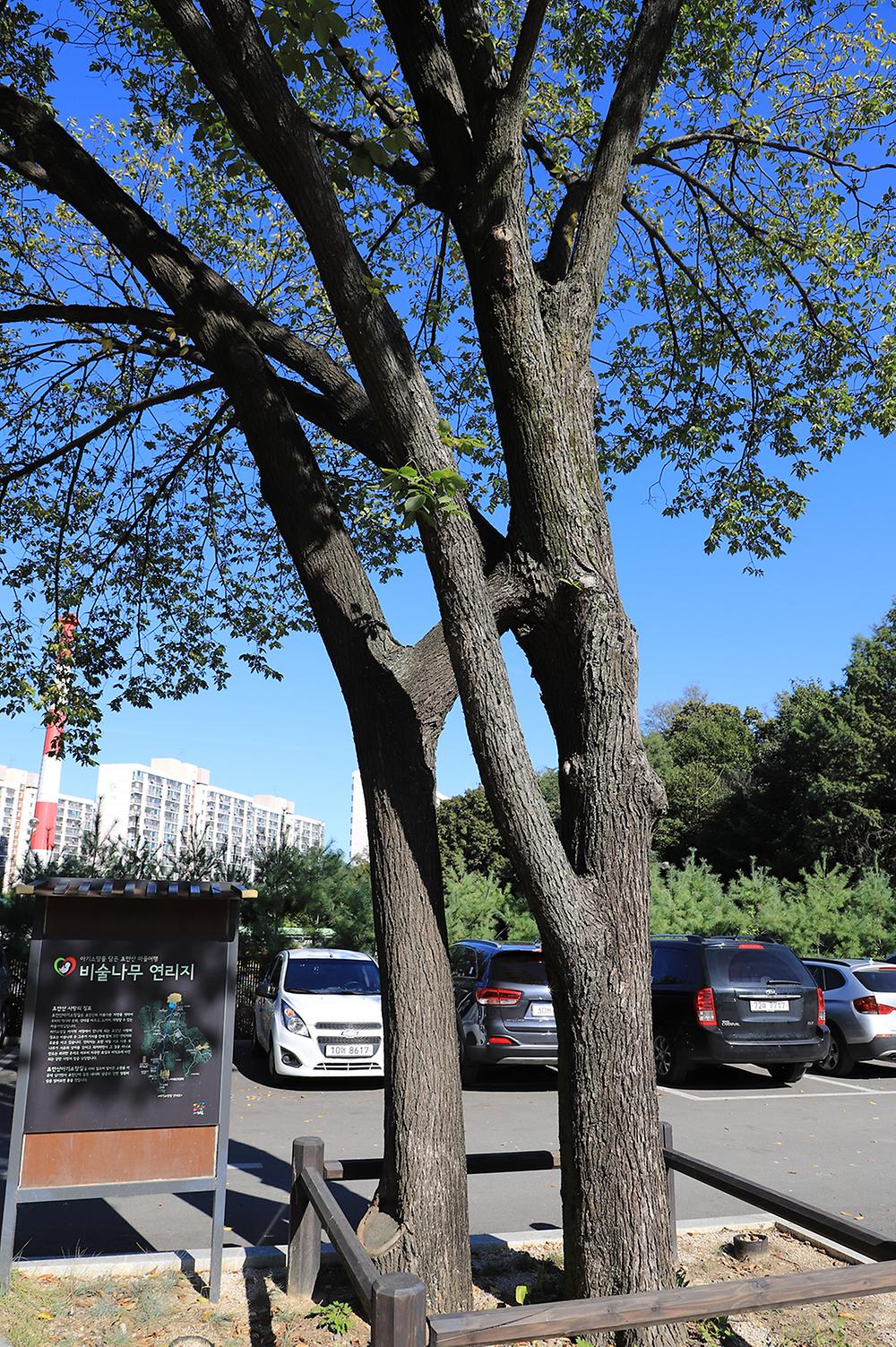 초안산캠핑장