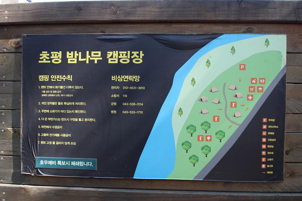 초평밤나무