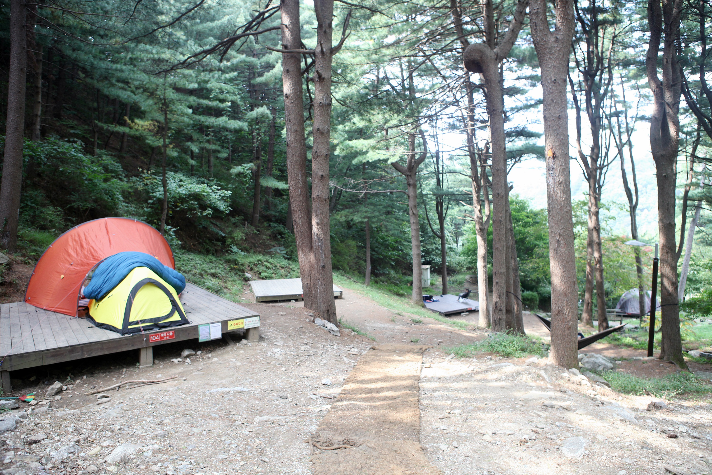축령산자연휴양림 야영장