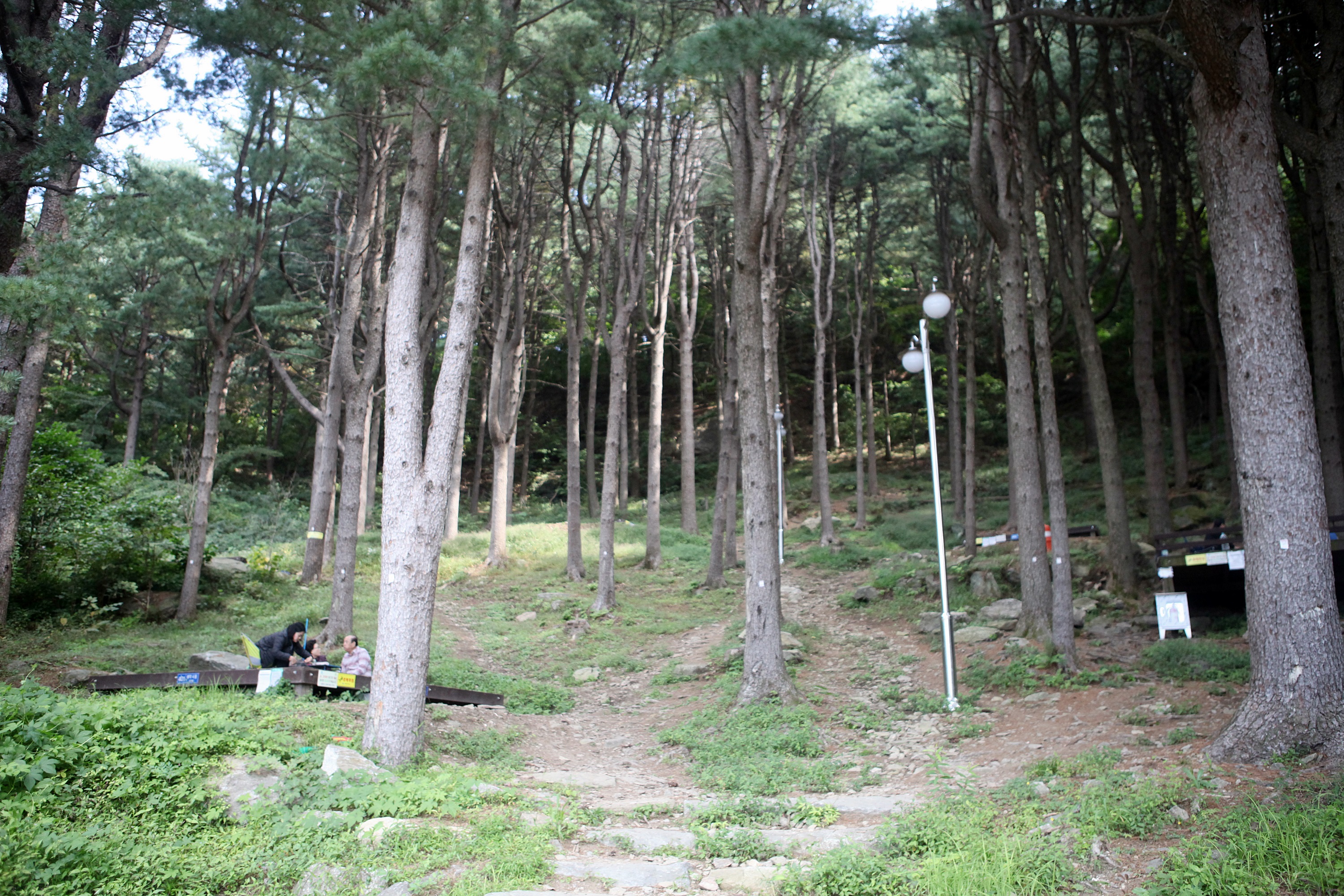 축령산 자연휴양림