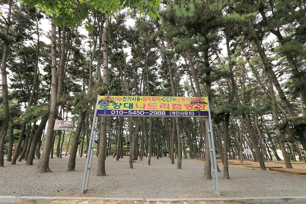 춘장대나드리캠핑장