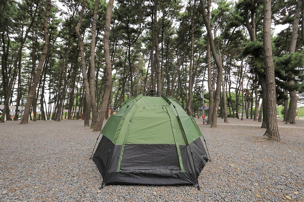 춘장대나드리캠핑장