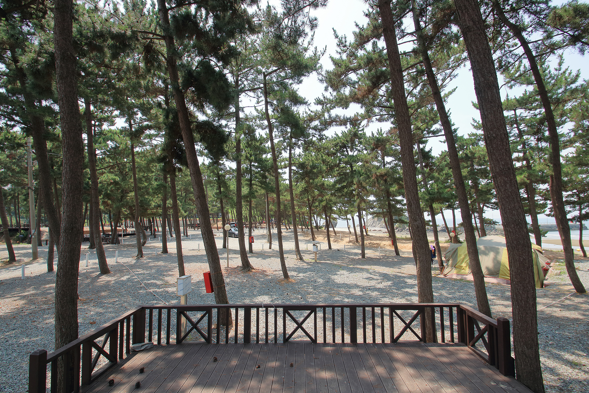 곰섬캠핑장