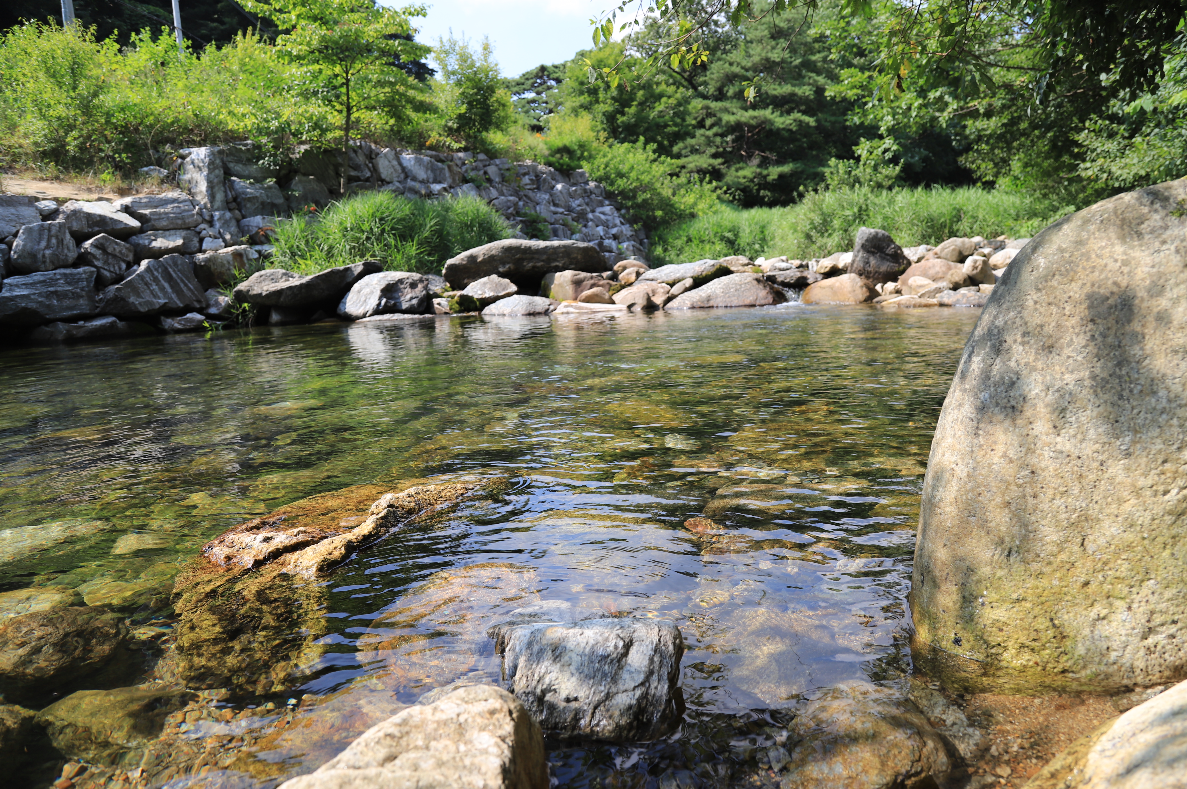 치악신림오토캠핑장